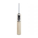 GM Icon Premier Kashmir Willow Cricket Bat
